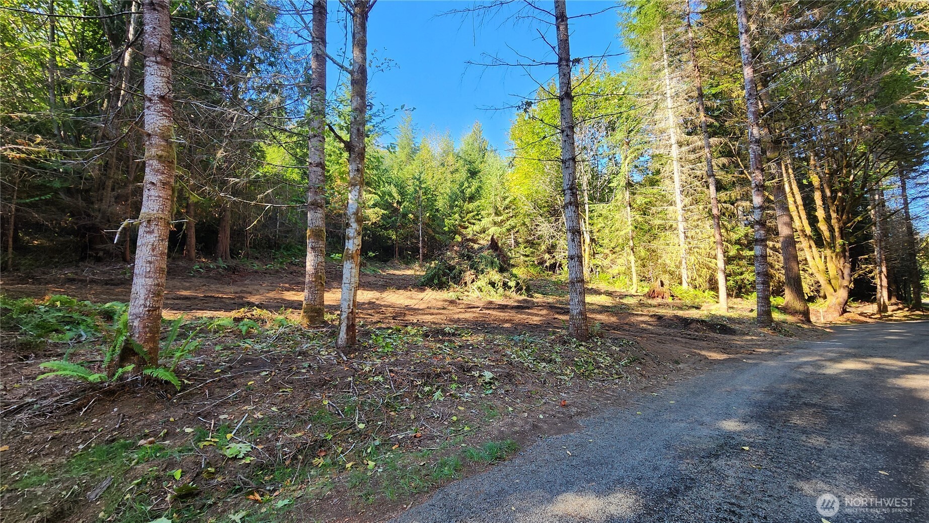 5704 Duane Lane Property Photo 12