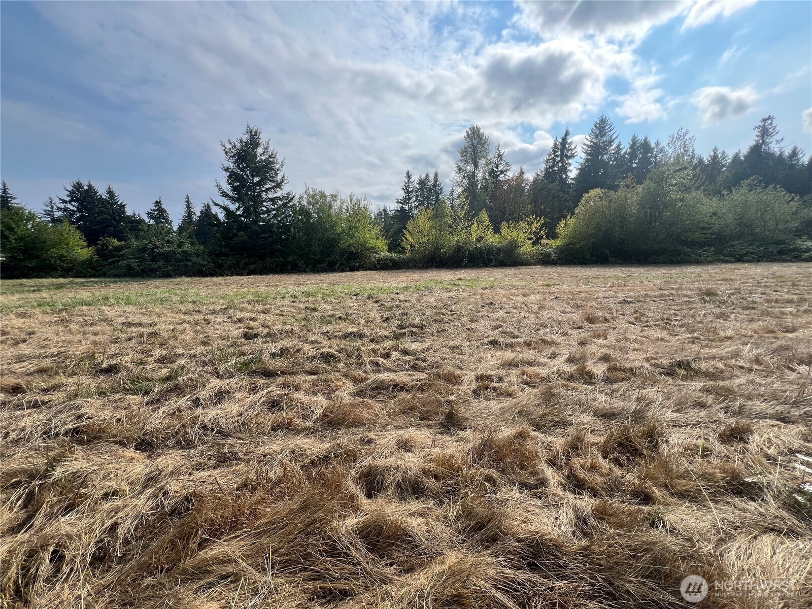 2943 Xx Hwy 101 Property Photo 3