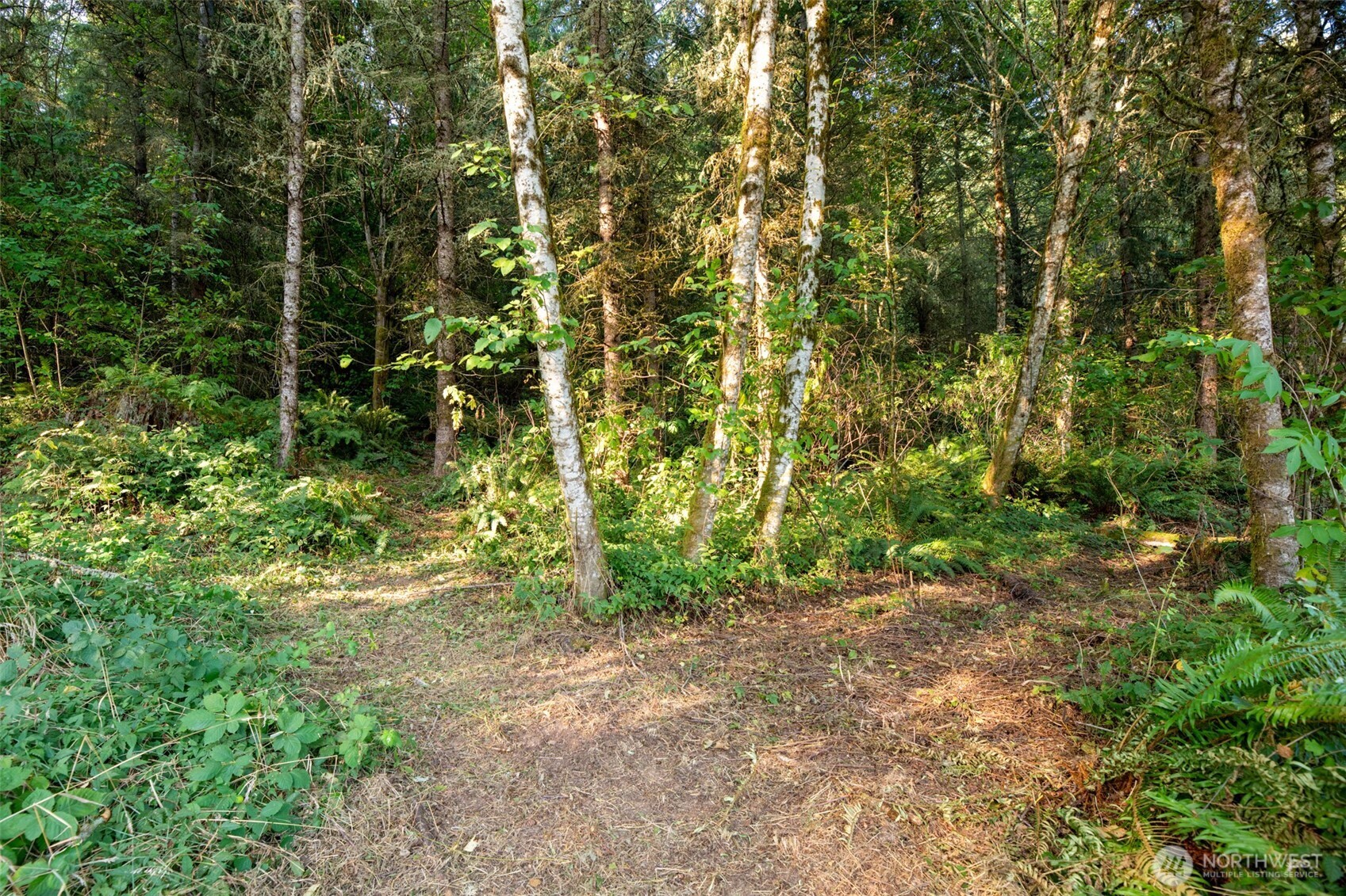 189 Kjesbu Road Property Photo 13