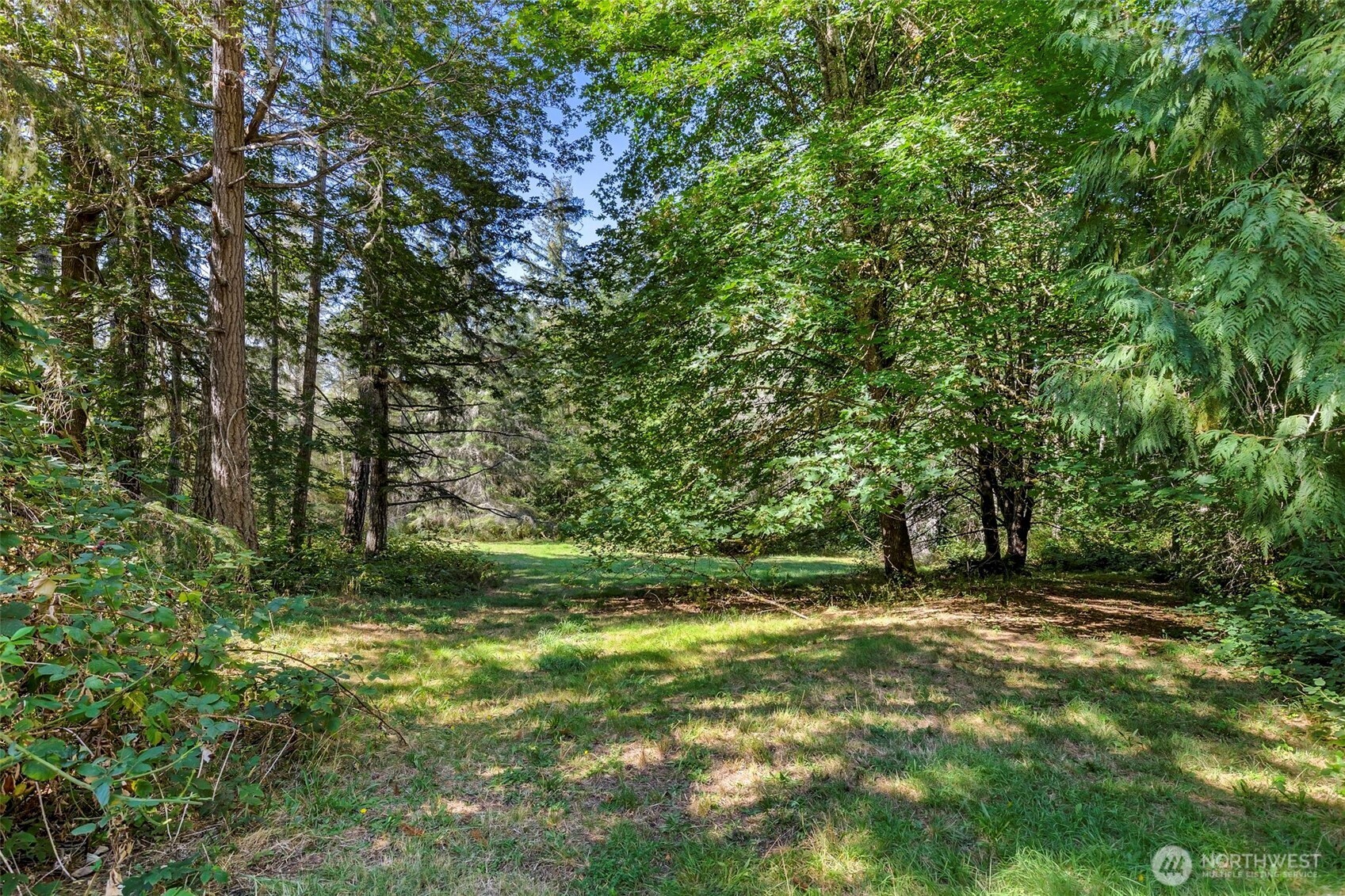 16705 92nd Street Property Photo 38
