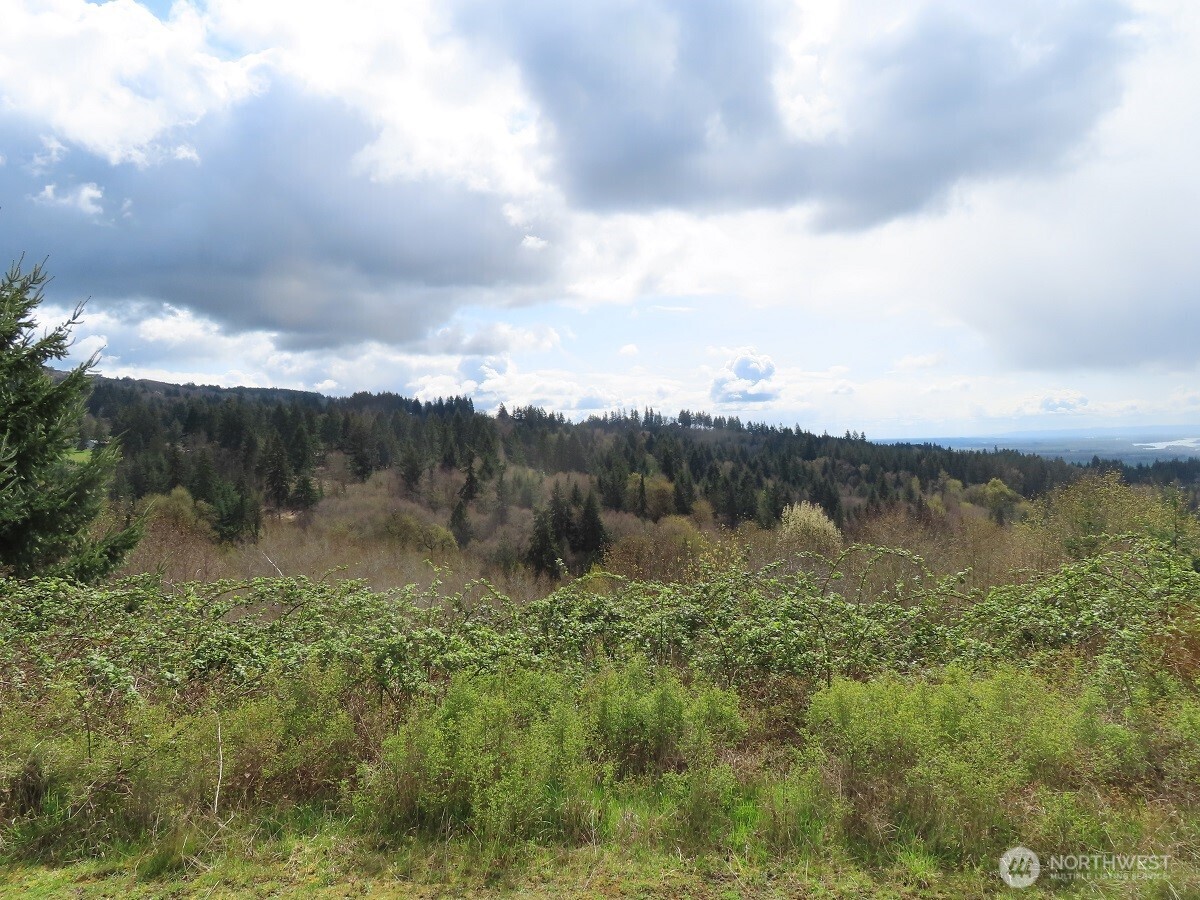 903 Confer Road Property Photo 3