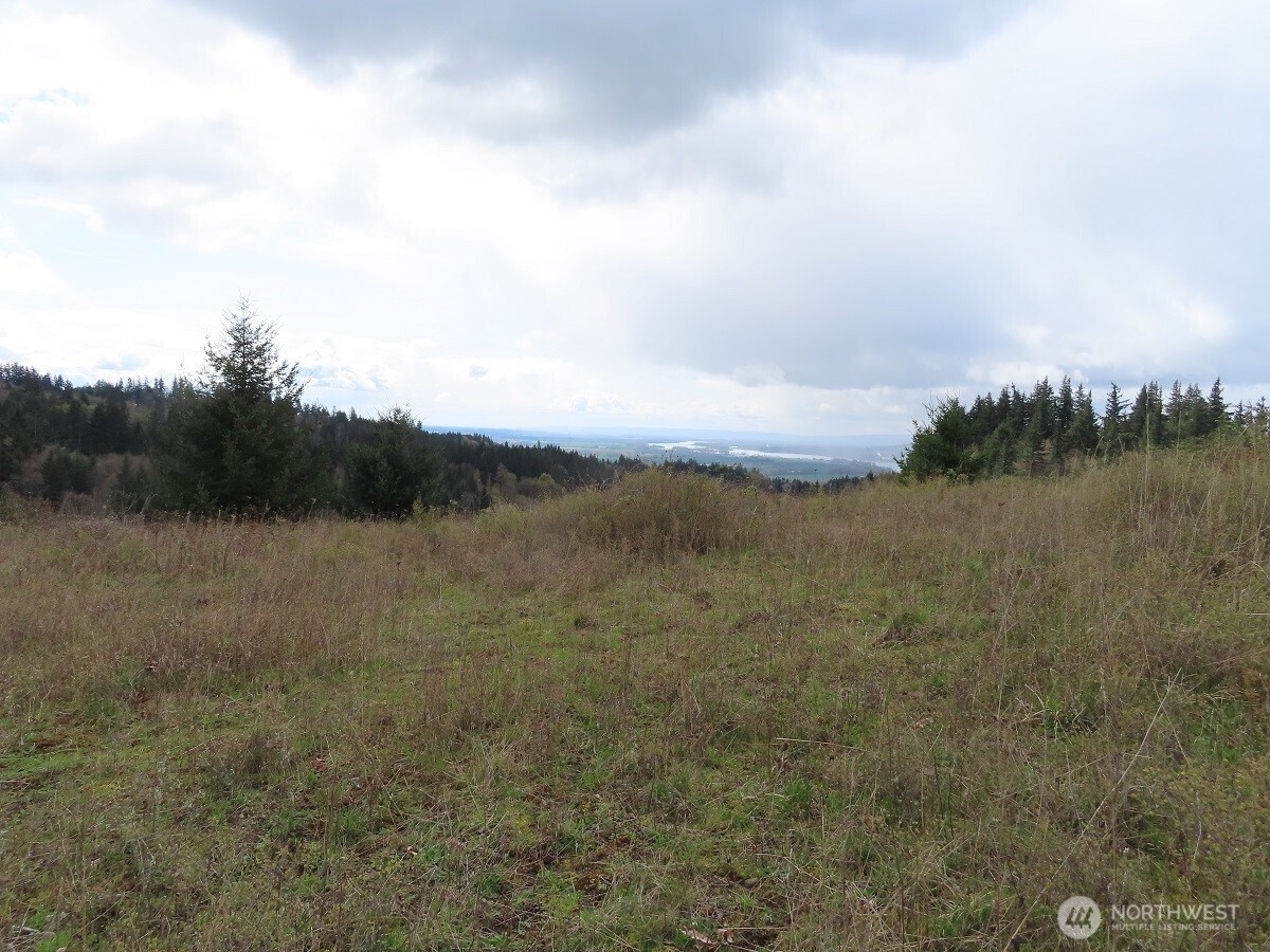 903 Confer Road Property Photo 8