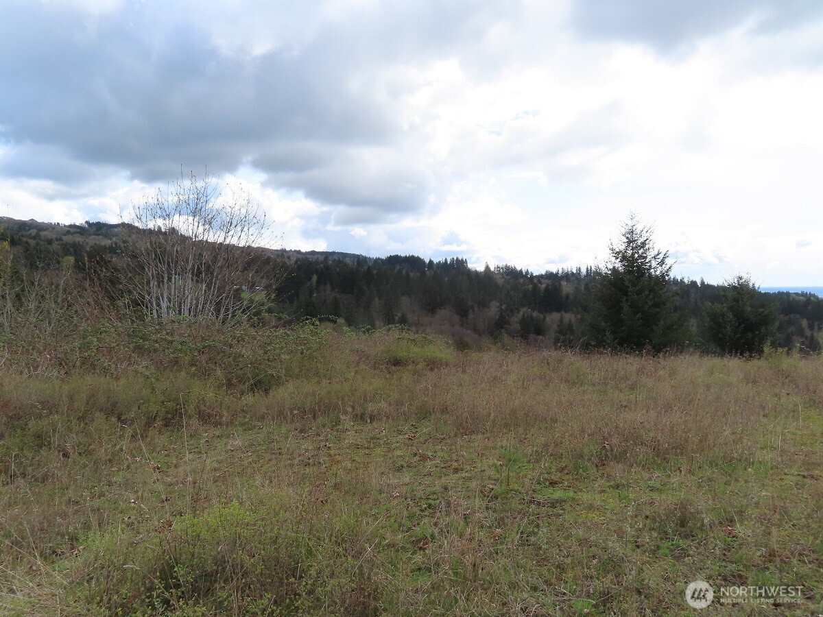 903 Confer Road Property Photo 9