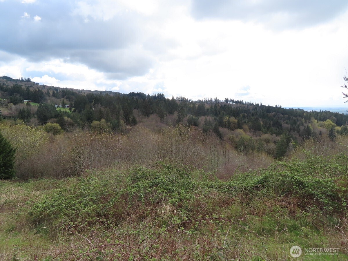 903 Confer Road Property Photo 10