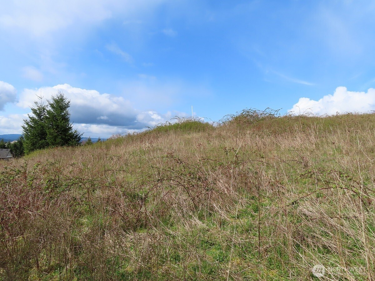 903 Confer Road Property Photo 12