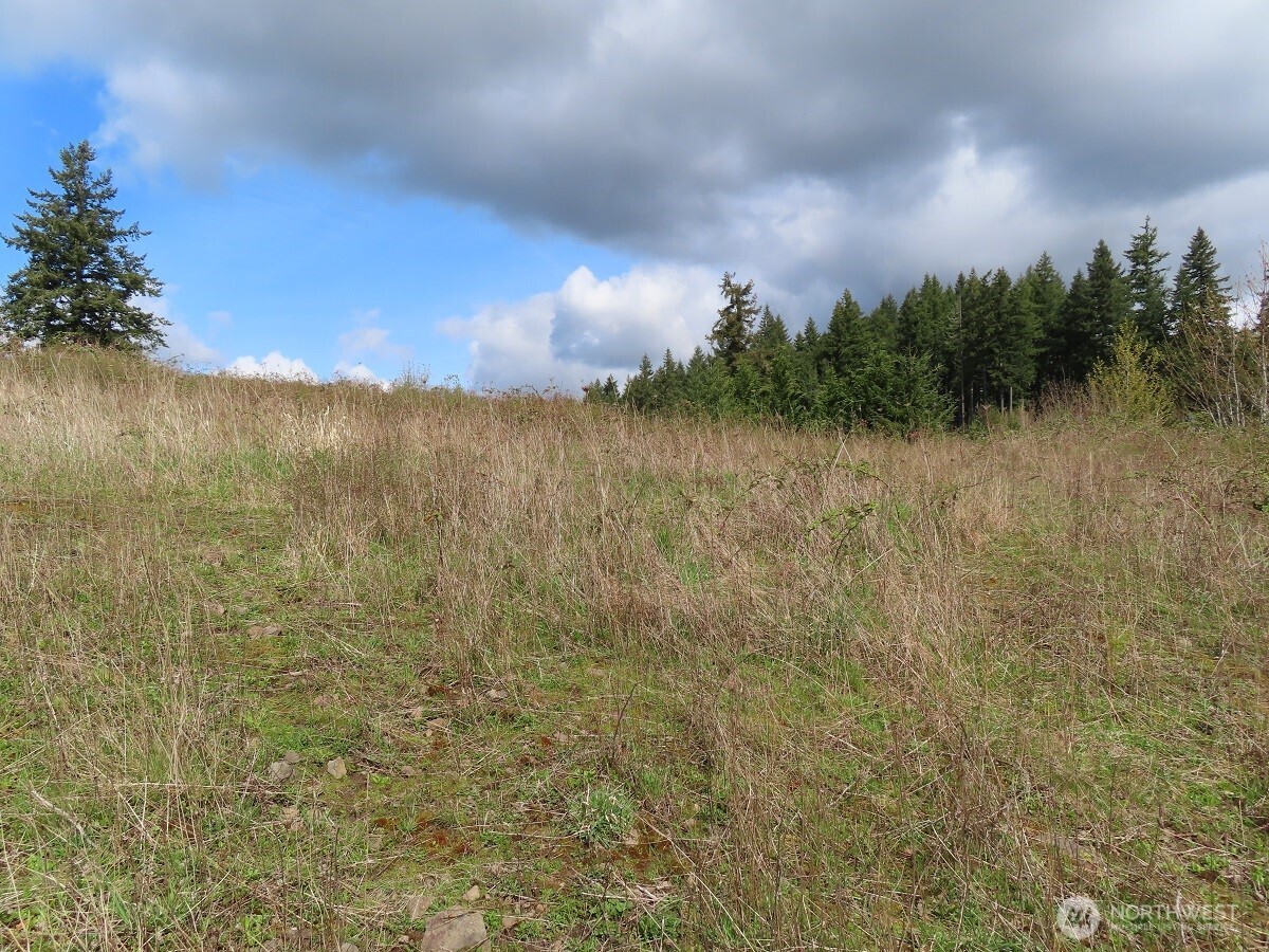 903 Confer Road Property Photo 13