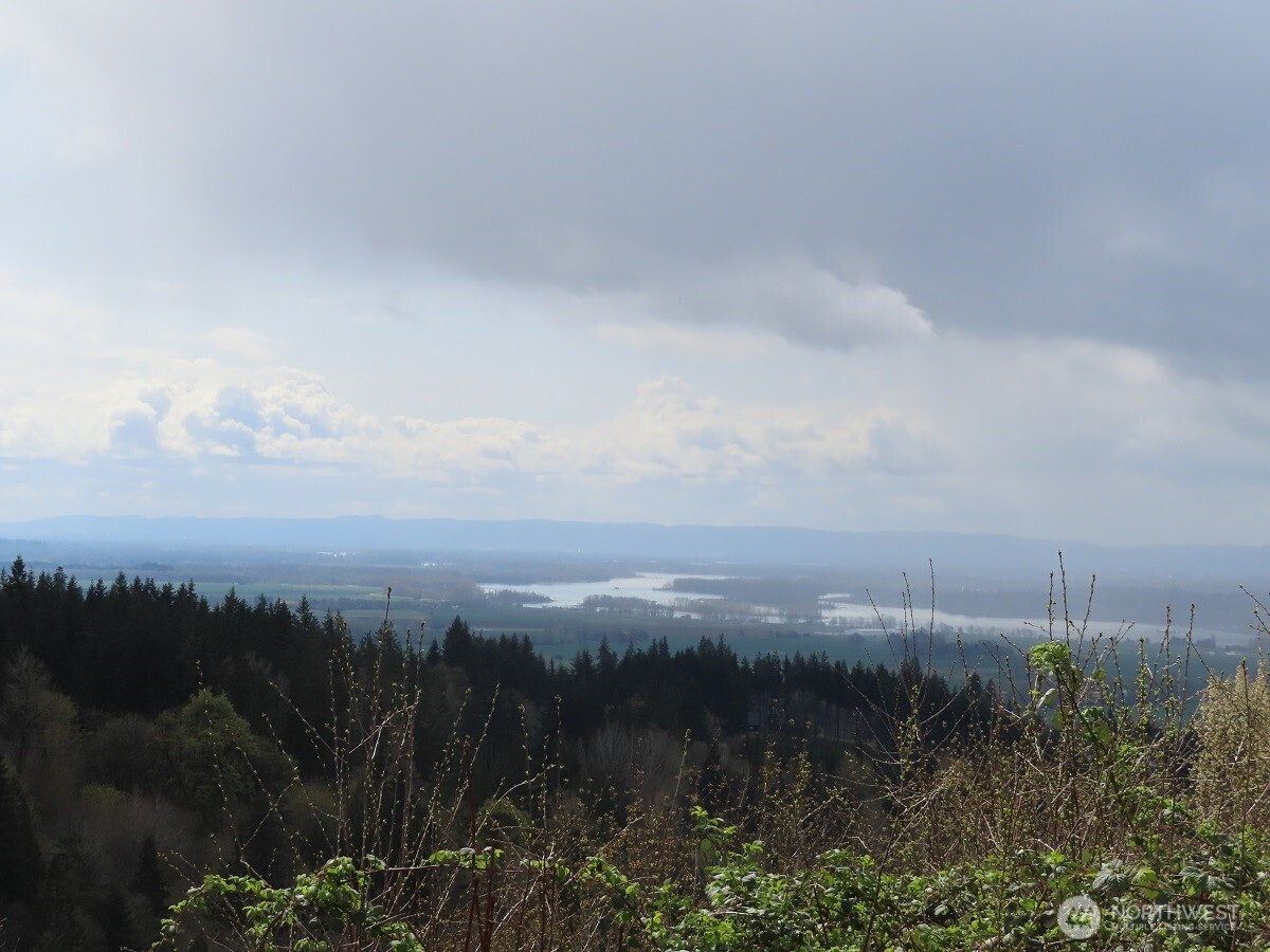 903 Confer Road Property Photo 14