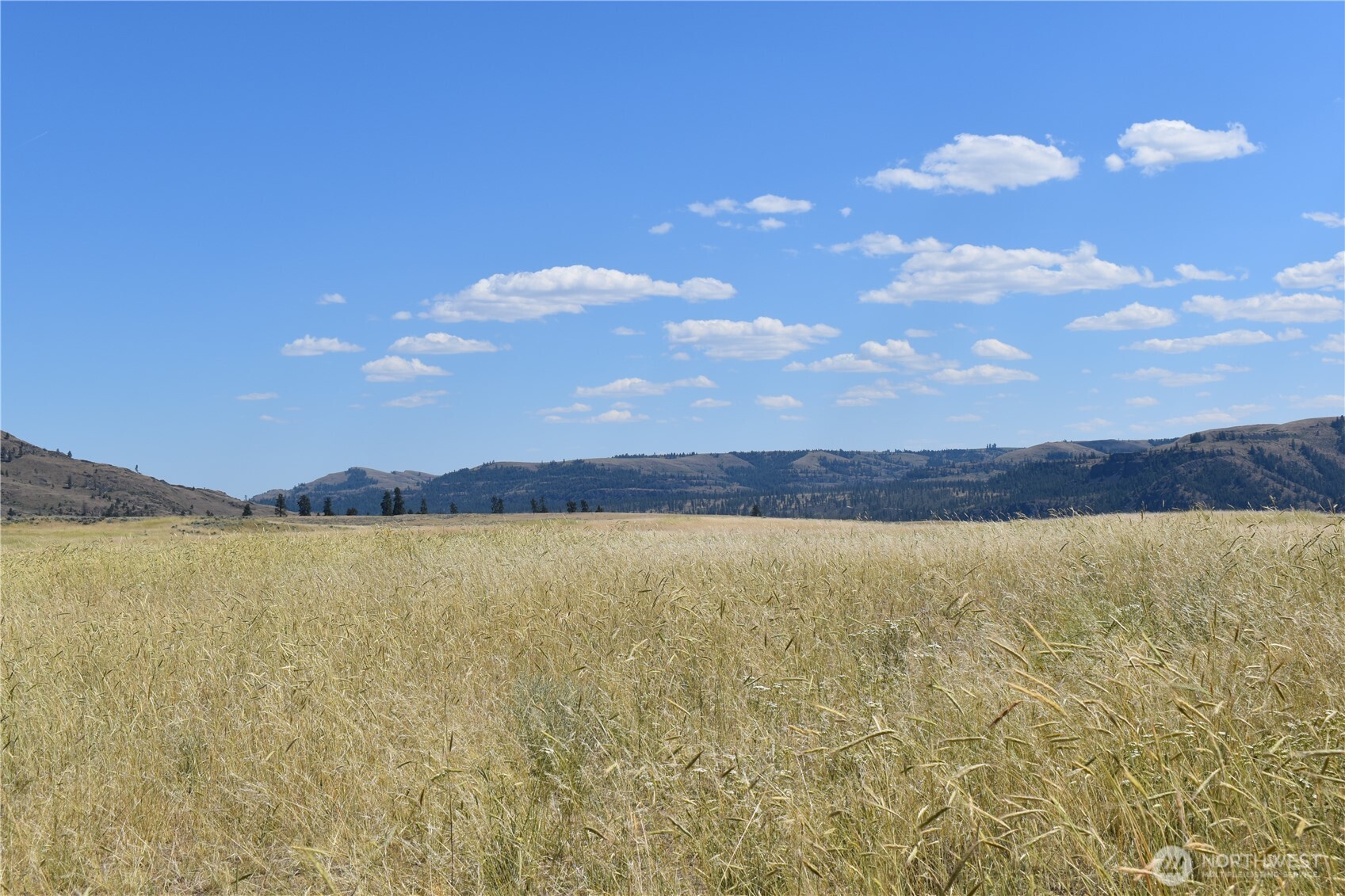 1027 Kuehne Road Property Photo 29