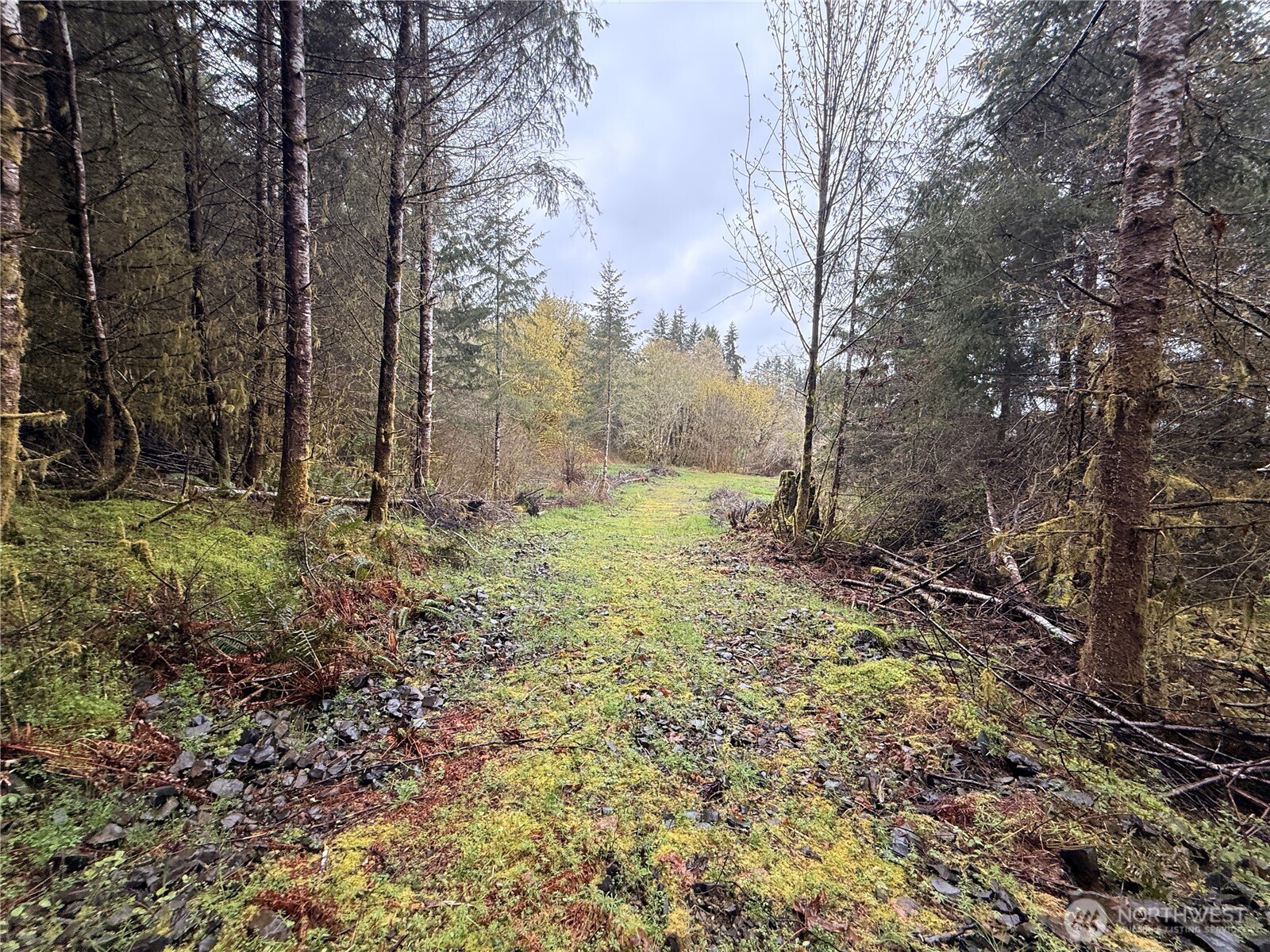 0 Bunker Creek Road Property Photo 1