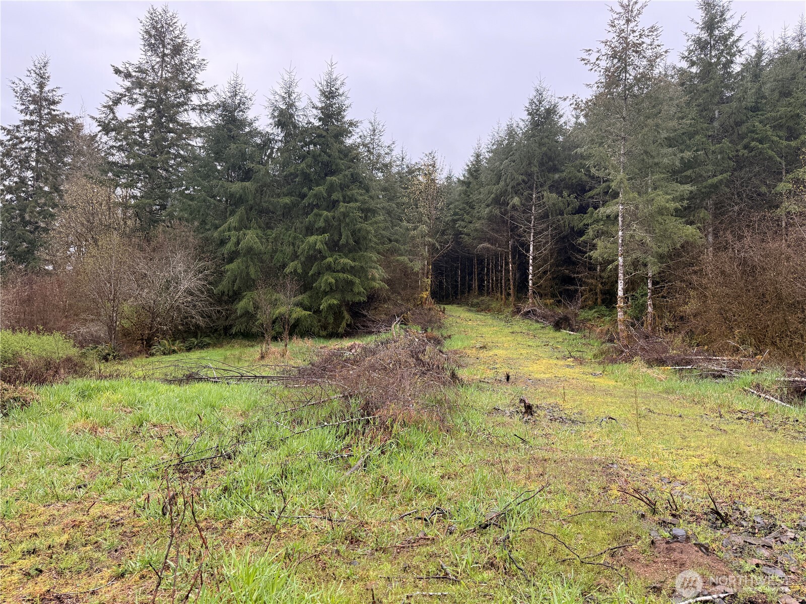 0 Bunker Creek Road Property Photo 3