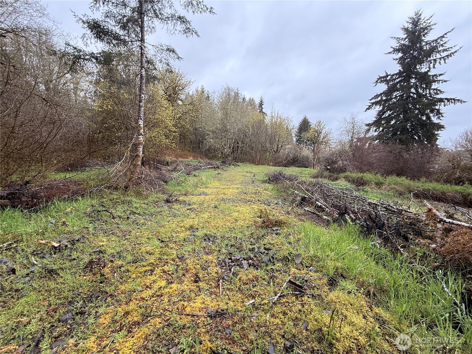 0 Bunker Creek Road Property Photo 4