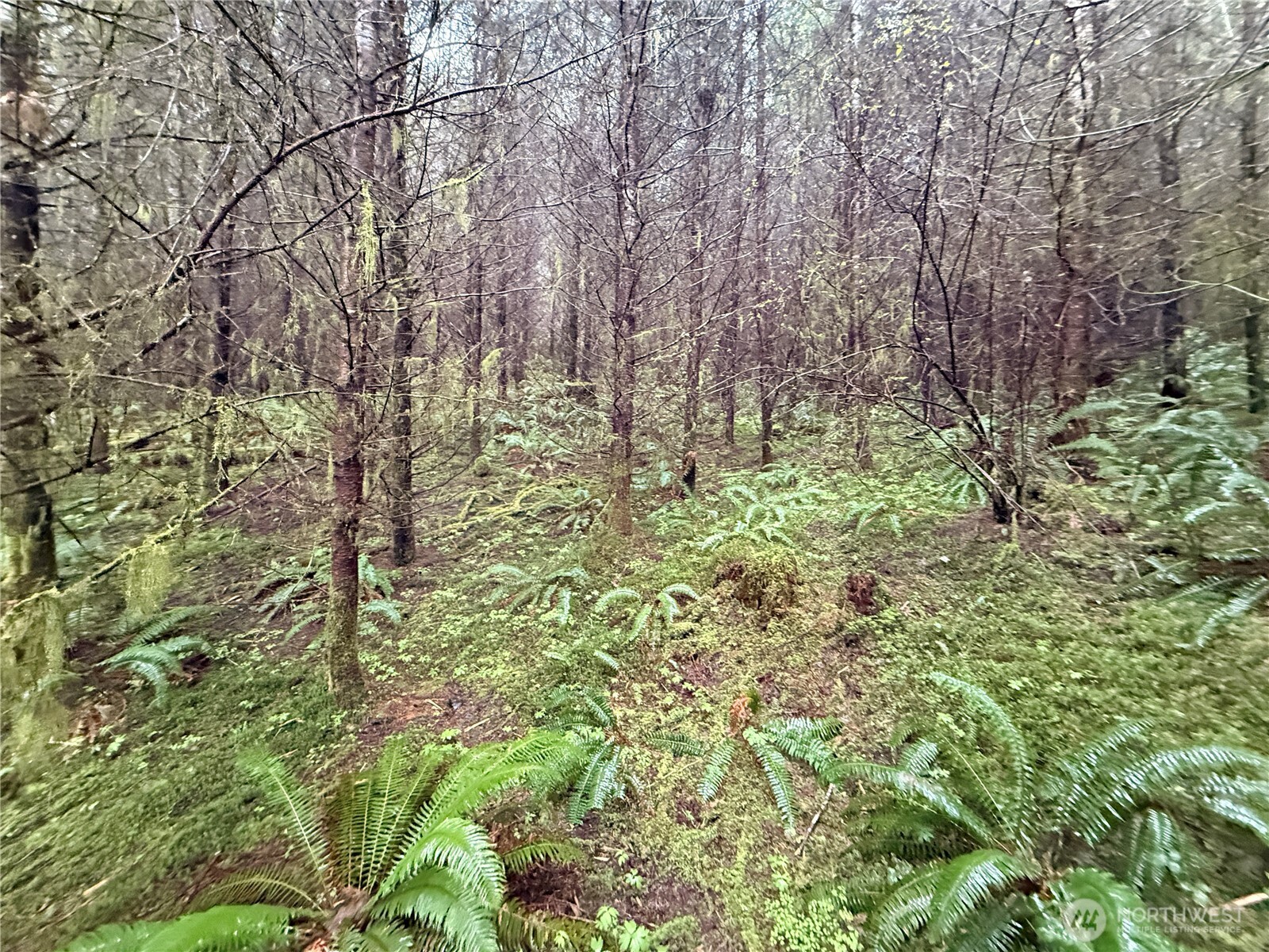 0 Bunker Creek Road Property Photo 6