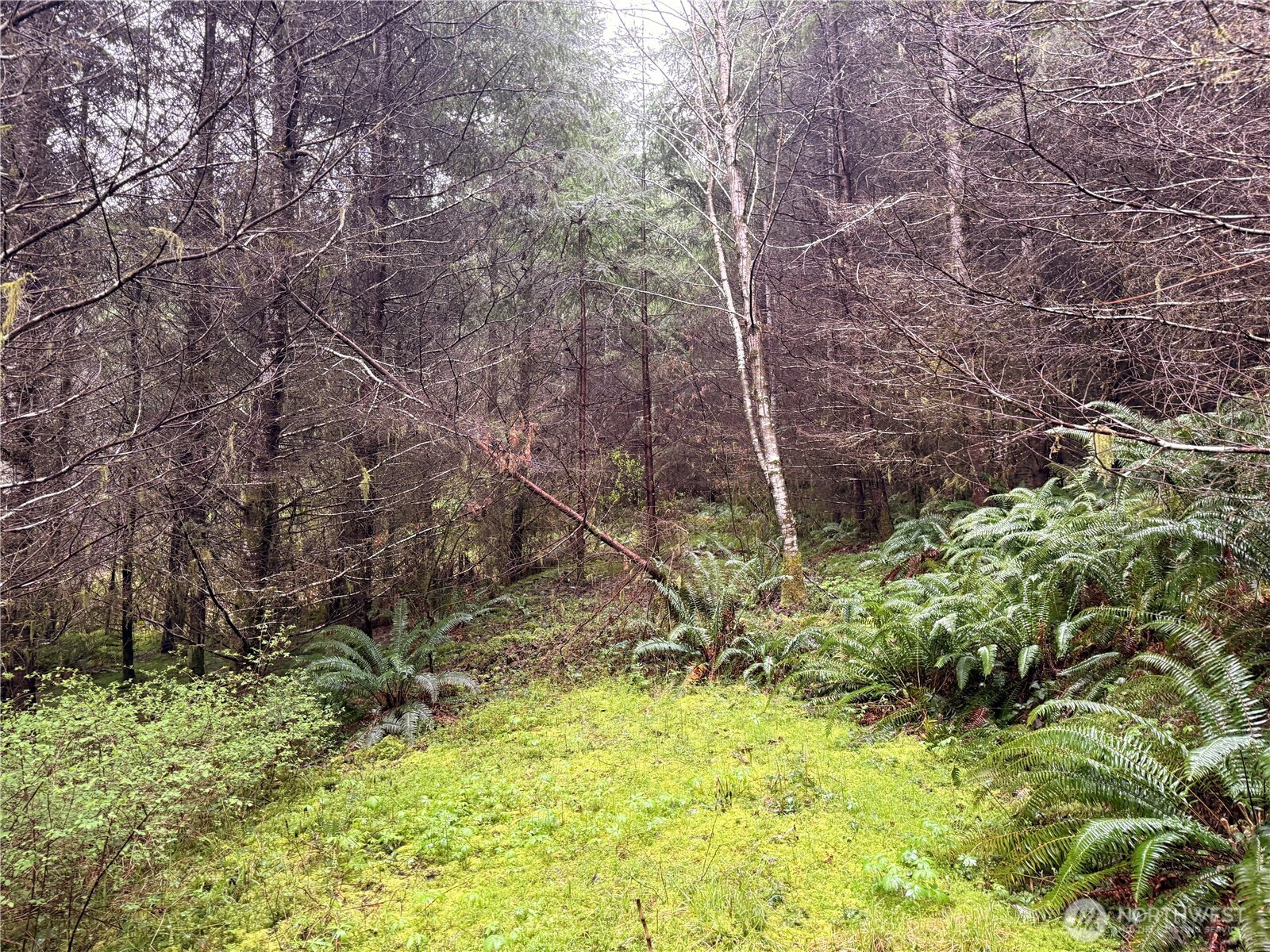 0 Bunker Creek Road Property Photo 11