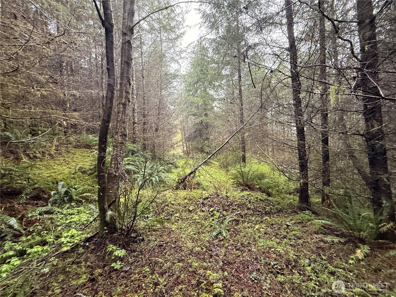 0 Bunker Creek Road Property Photo 13