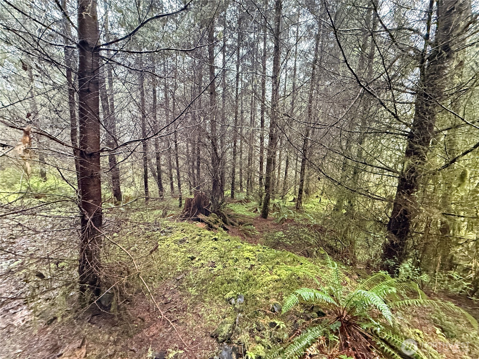 0 Bunker Creek Road Property Photo 14