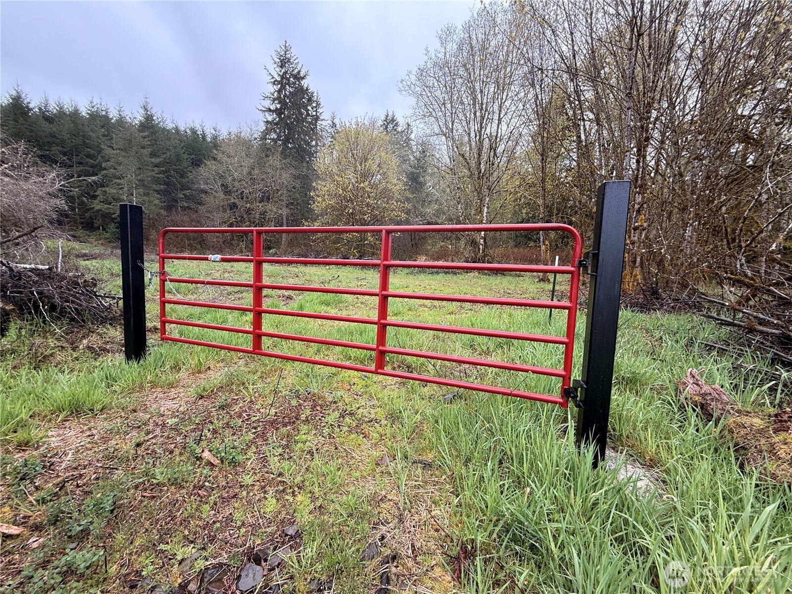 0 Bunker Creek Road Property Photo 15