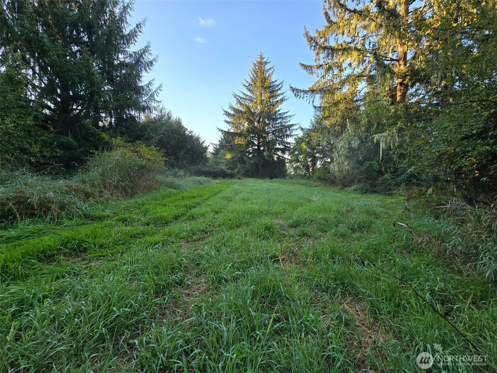 11111 Pan Handle Road Property Photo 7