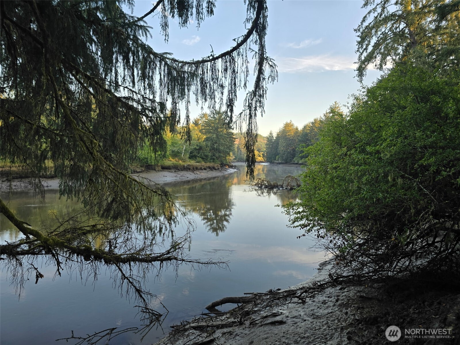 11111 Pan Handle Road Property Photo 9