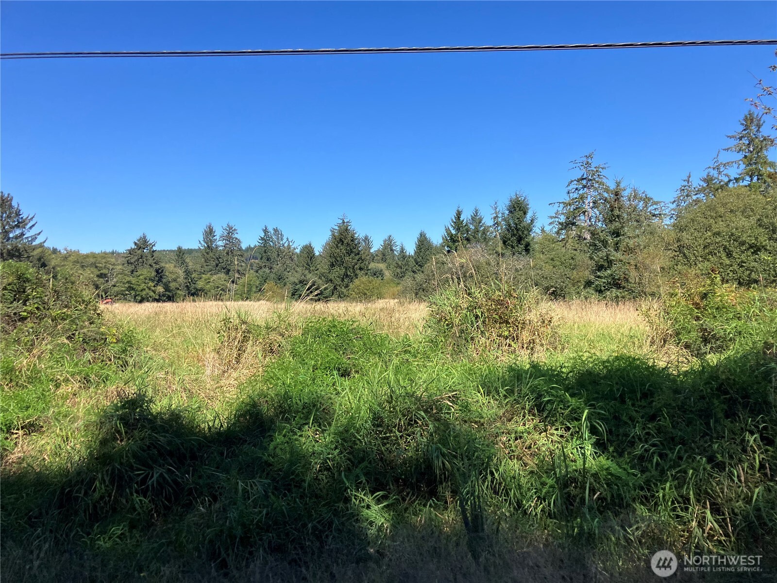 11111 Pan Handle Road Property Photo 18