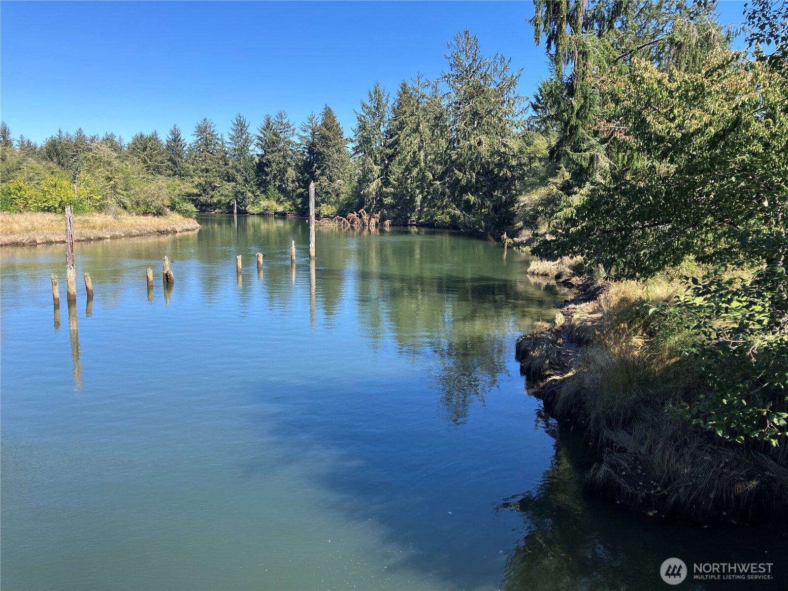 11111 Pan Handle Road Property Photo 21