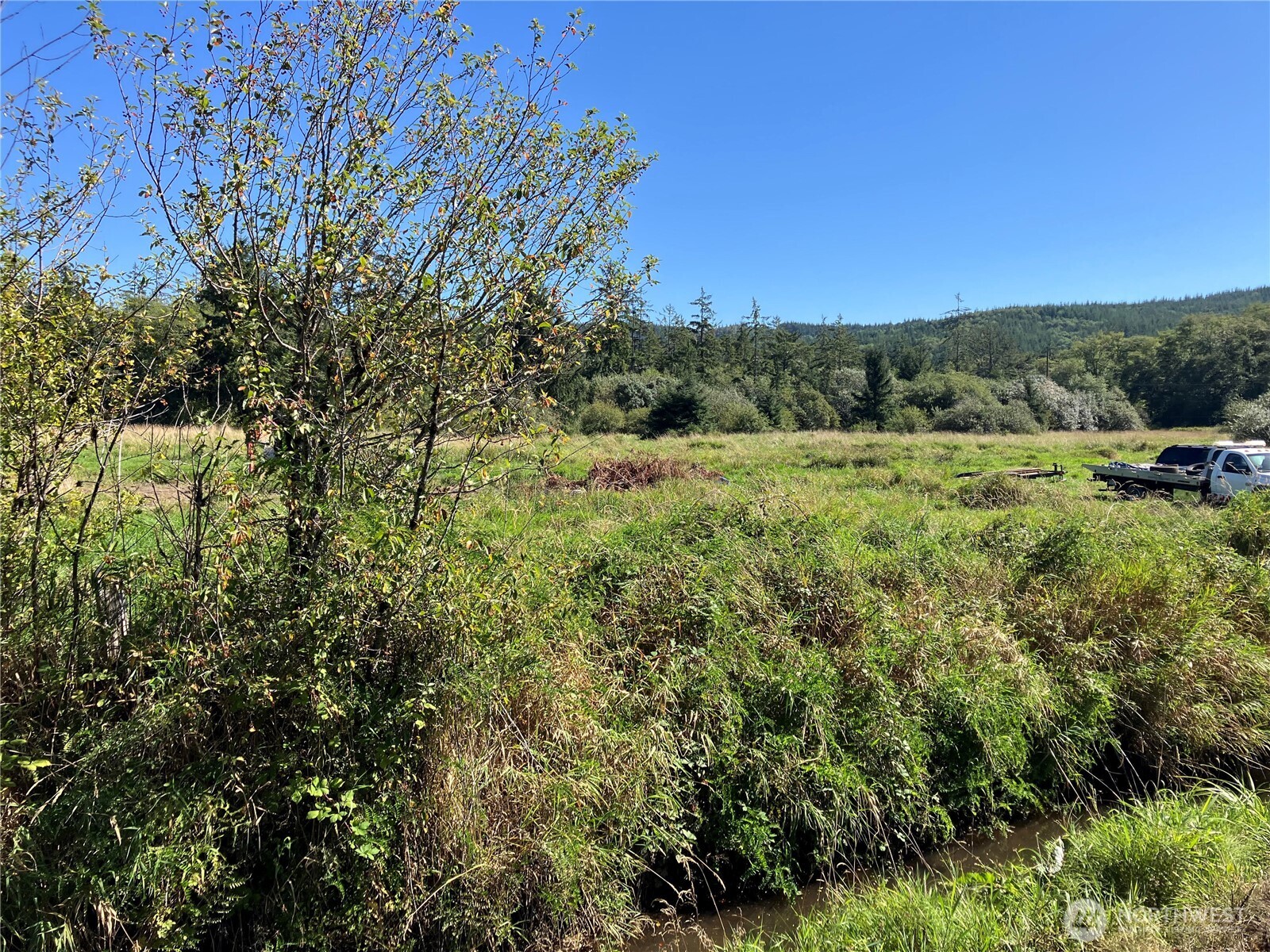 11111 Pan Handle Road Property Photo 22