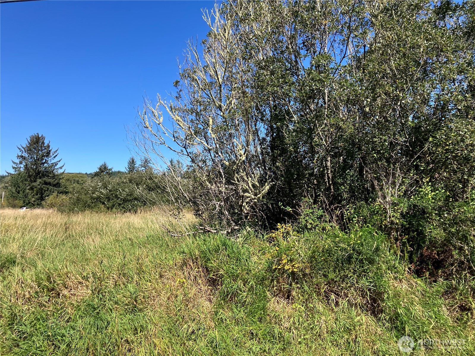 11111 Pan Handle Road Property Photo 23