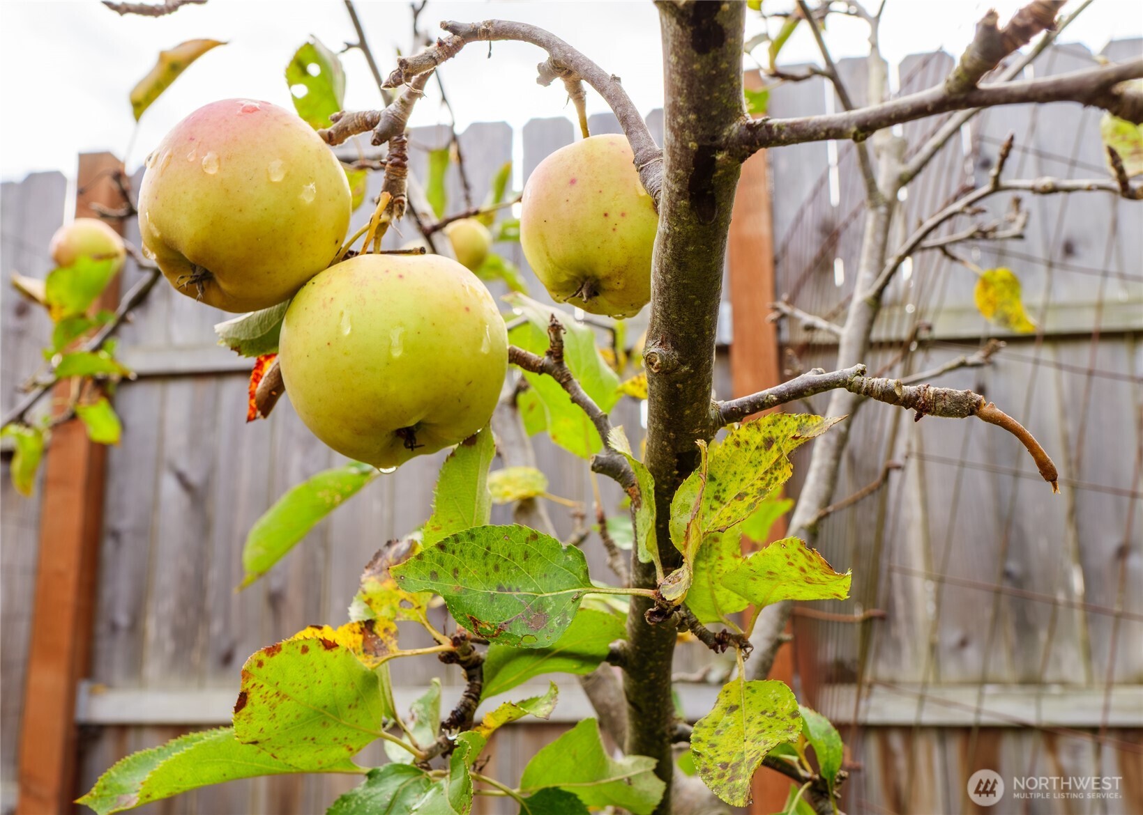 553 Dryke Road Property Photo 35