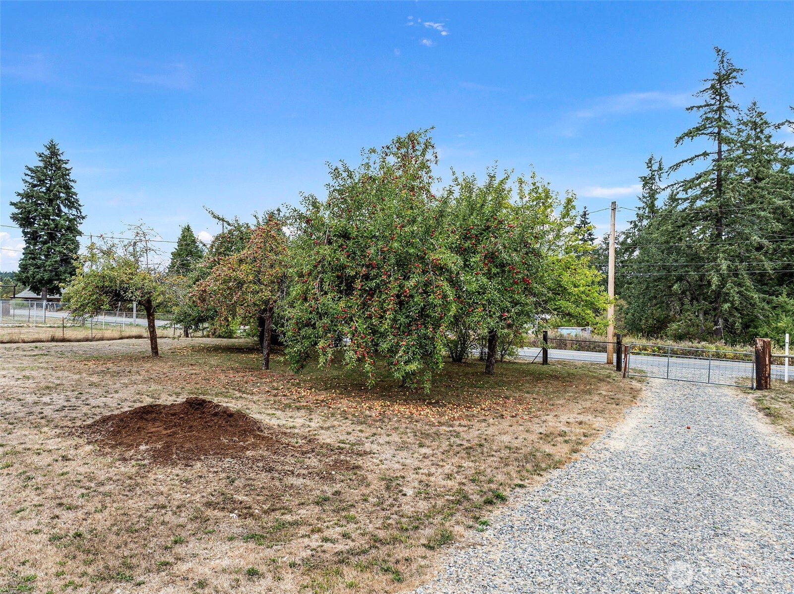 7804 280th Street Property Photo 4