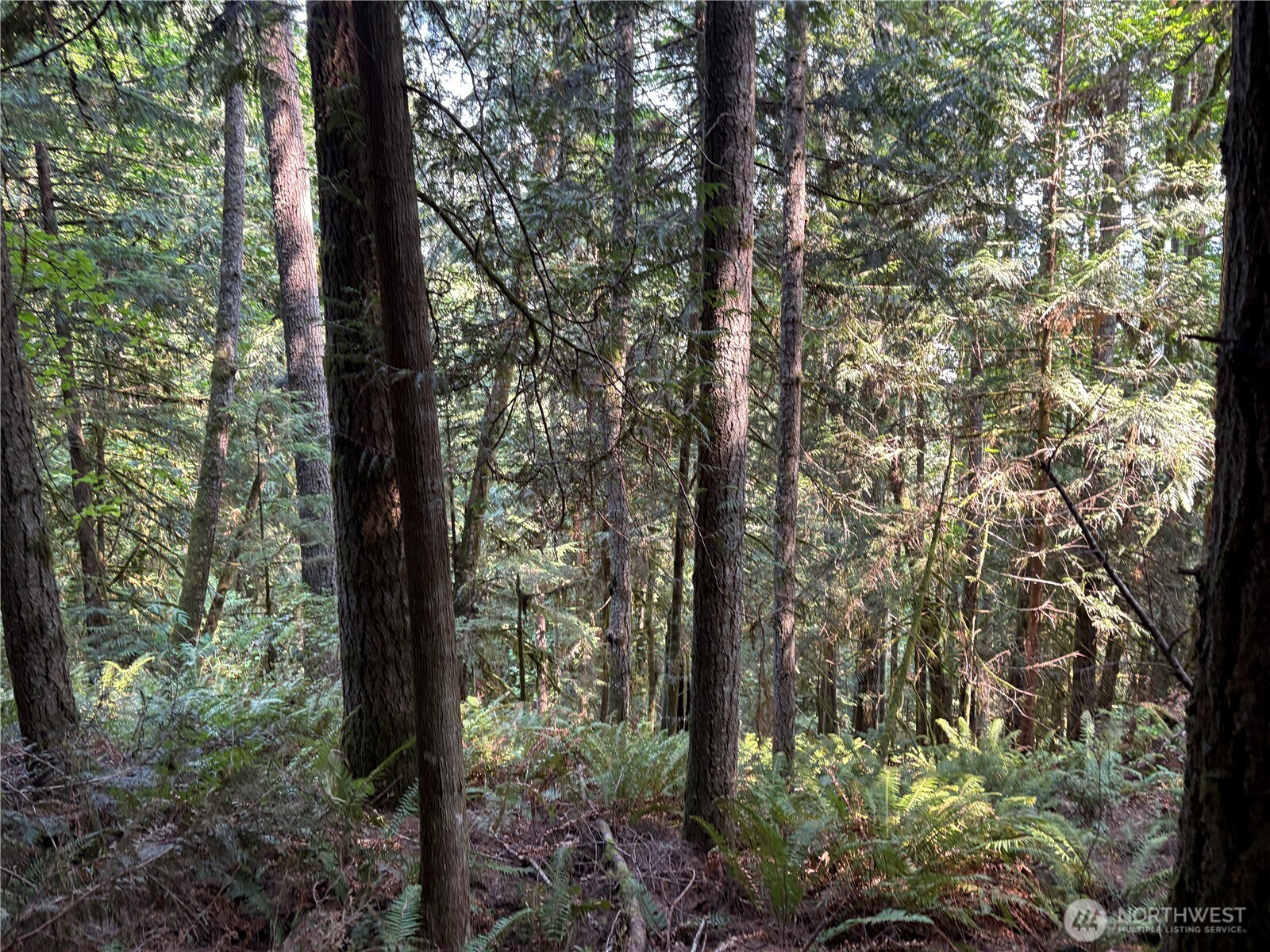 0 Nka Spirit Lake Highway Property Photo 5
