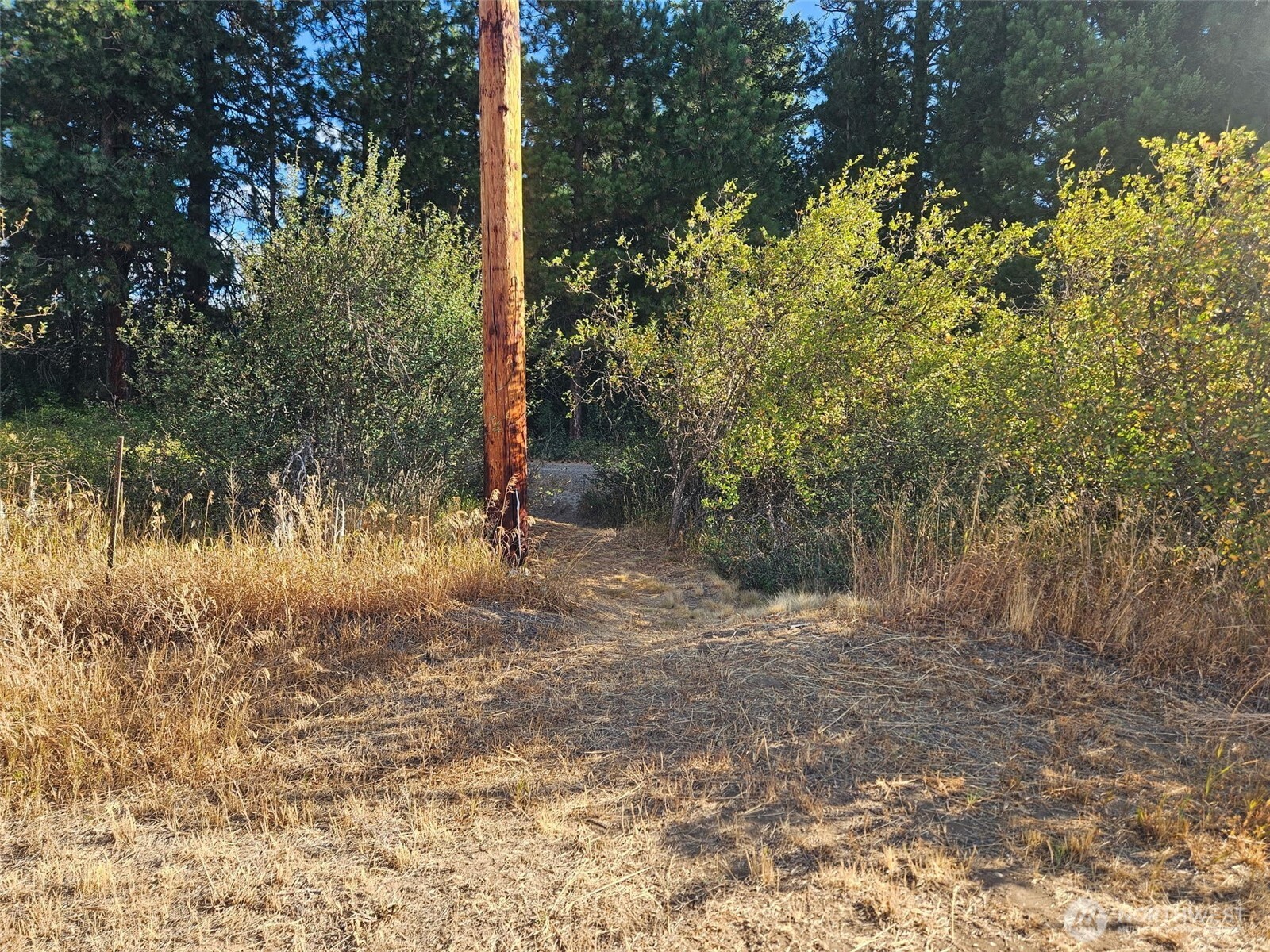 1 Lot Little Creek Road Property Photo 2