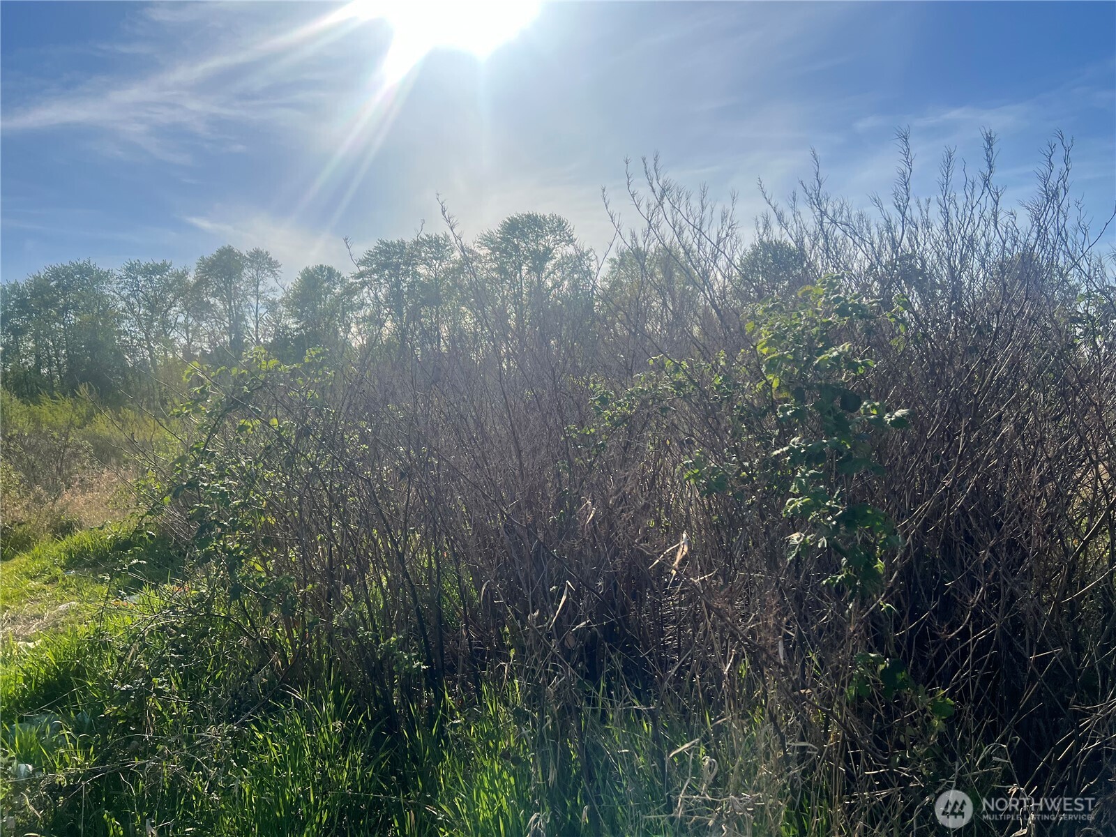 7426 Portland Avenue Property Photo 19