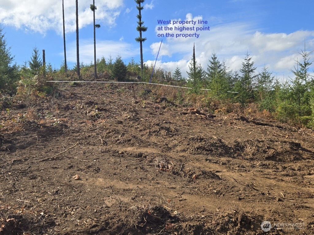 1051 Skamania Mines Road Property Photo 3