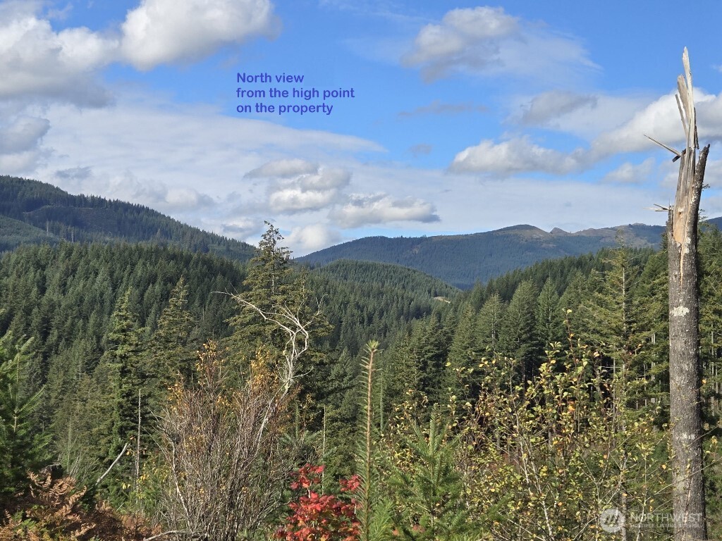 1051 Skamania Mines Road Property Photo 4