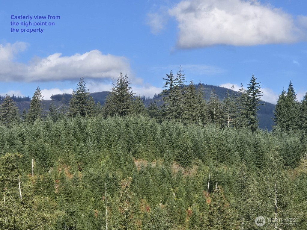 1051 Skamania Mines Road Property Photo 5