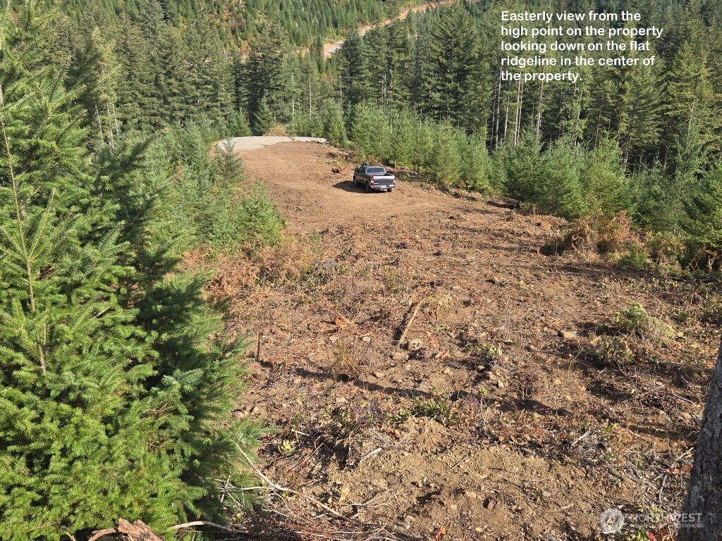 1051 Skamania Mines Road Property Photo 6