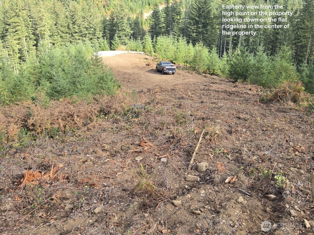 1051 Skamania Mines Road Property Photo 7