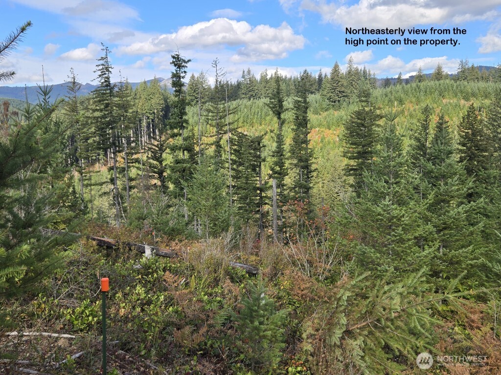 1051 Skamania Mines Road Property Photo 8