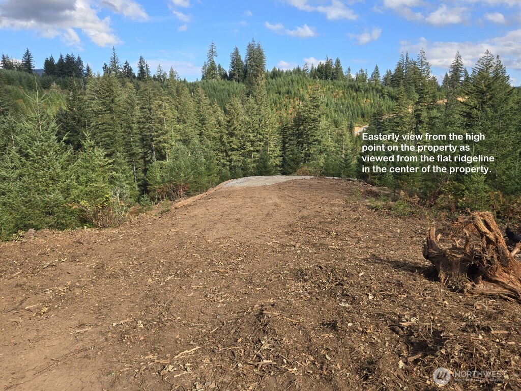 1051 Skamania Mines Road Property Photo 10
