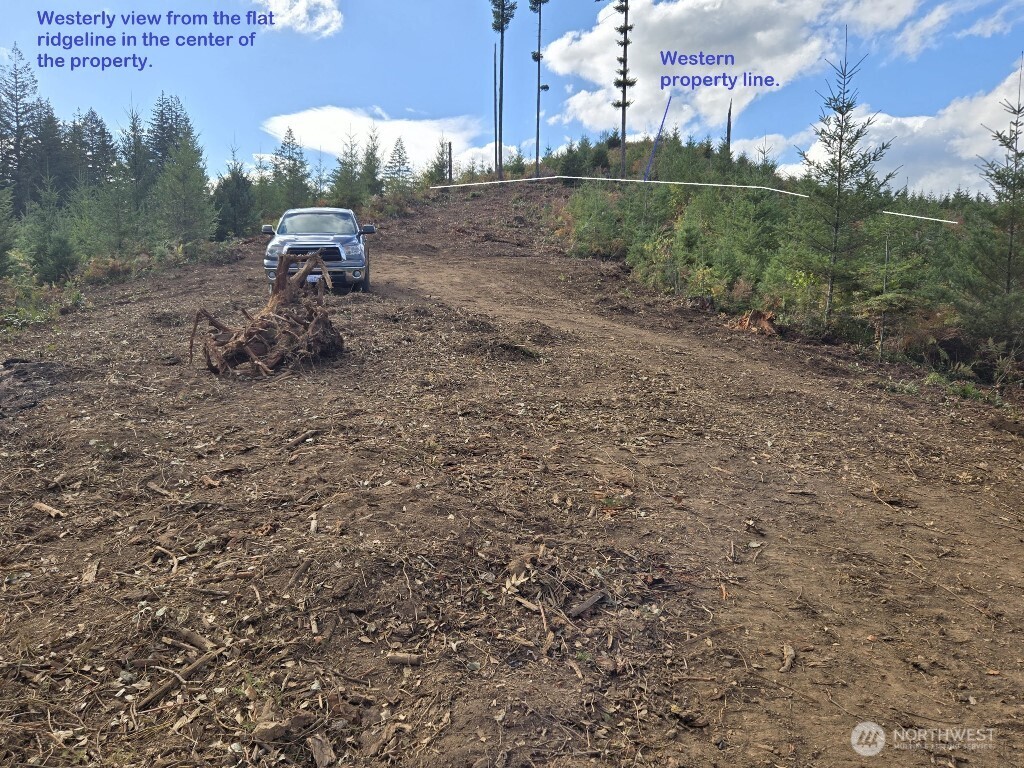 1051 Skamania Mines Road Property Photo 11