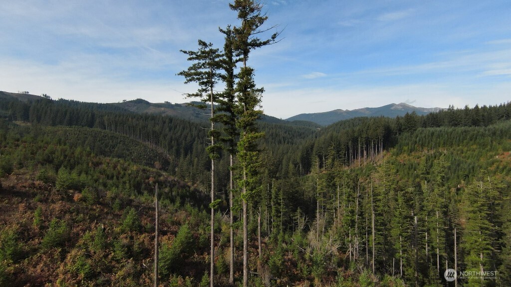 1051 Skamania Mines Road Property Photo 15