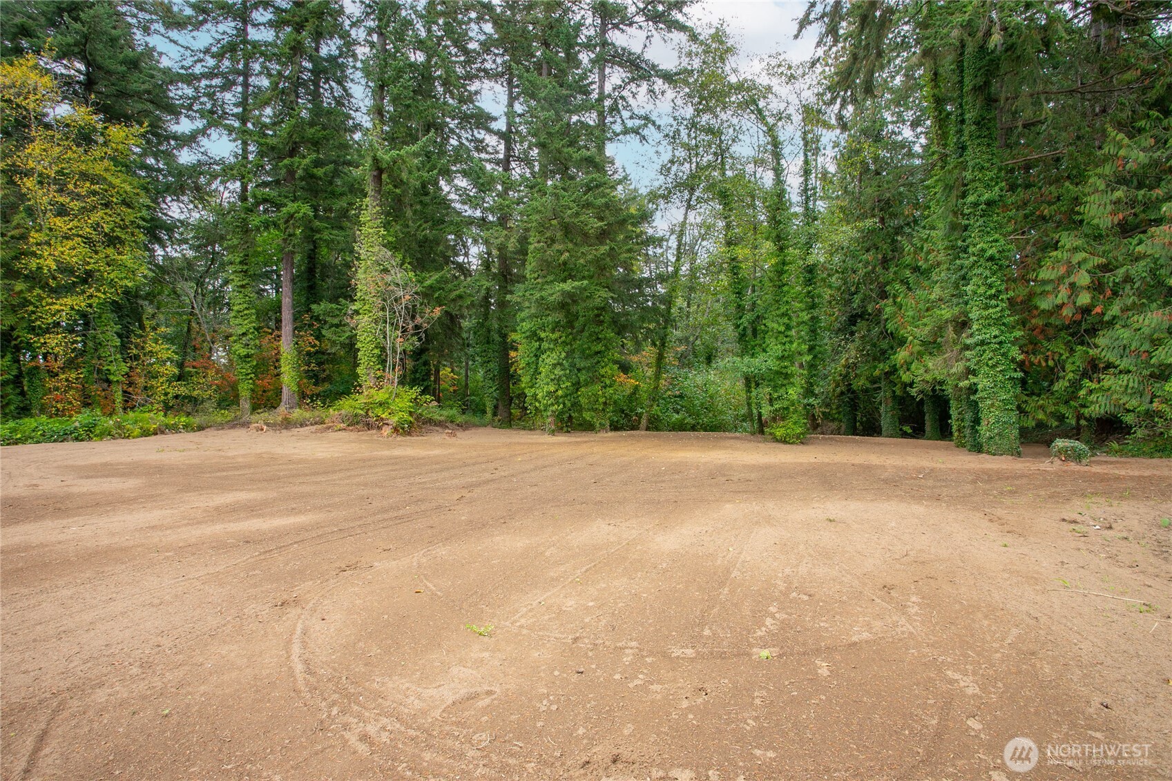 4154 Pacific Highway Property Photo 9