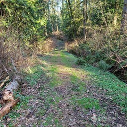 190 Xx Se 66th Street Property Photo 11