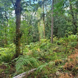 190 Xx Se 66th Street Property Photo 22