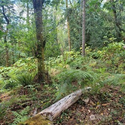 190 Xx Se 66th Street Property Photo 24