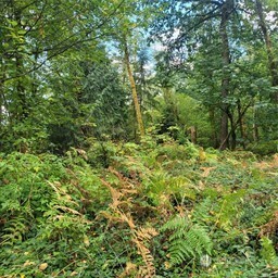 190 Xx Se 66th Street Property Photo 27