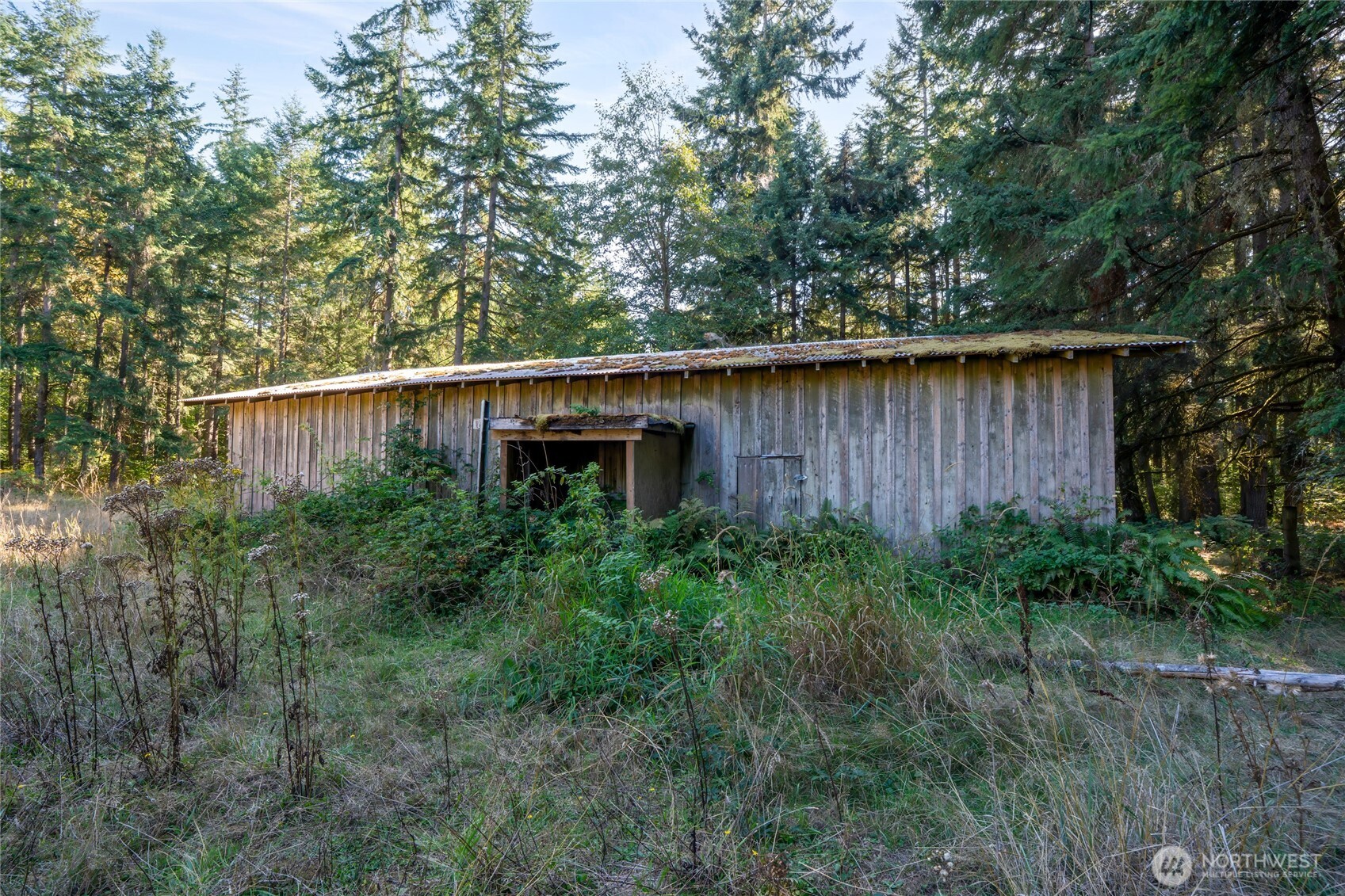 36716 Eatonville Cutoff Road Property Photo 8