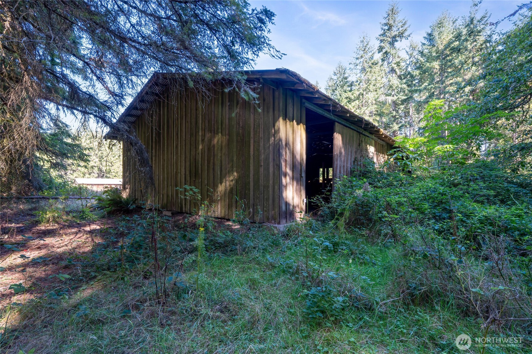 36716 Eatonville Cutoff Road Property Photo 9