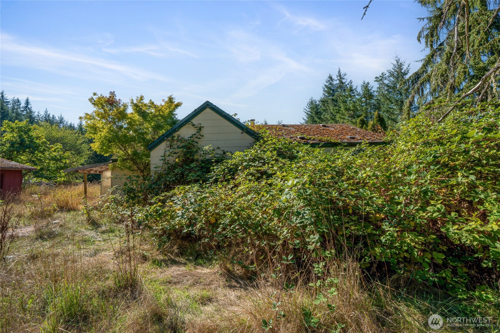 36716 Eatonville Cutoff Road Property Photo 11