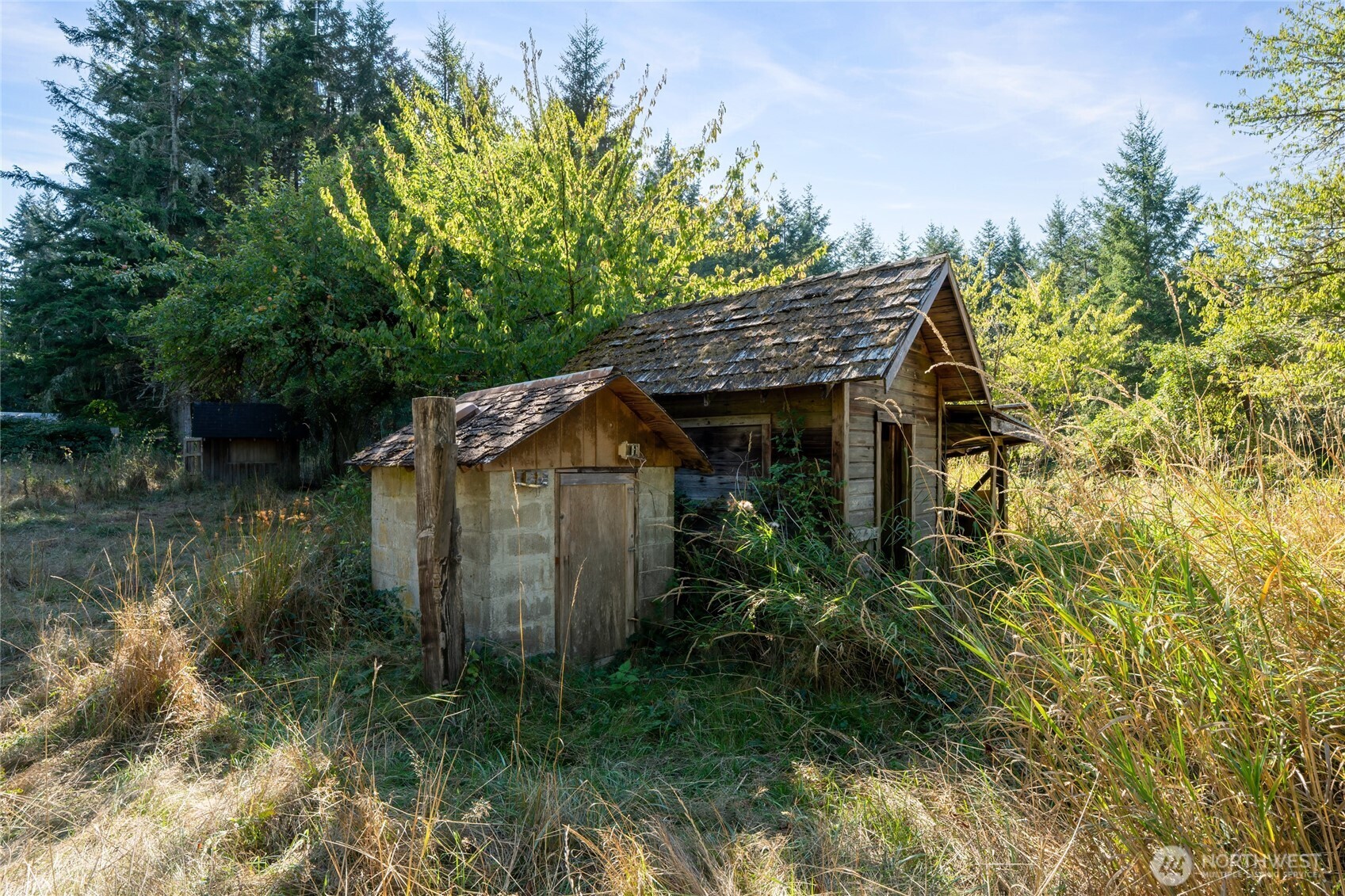 36716 Eatonville Cutoff Road Property Photo 12