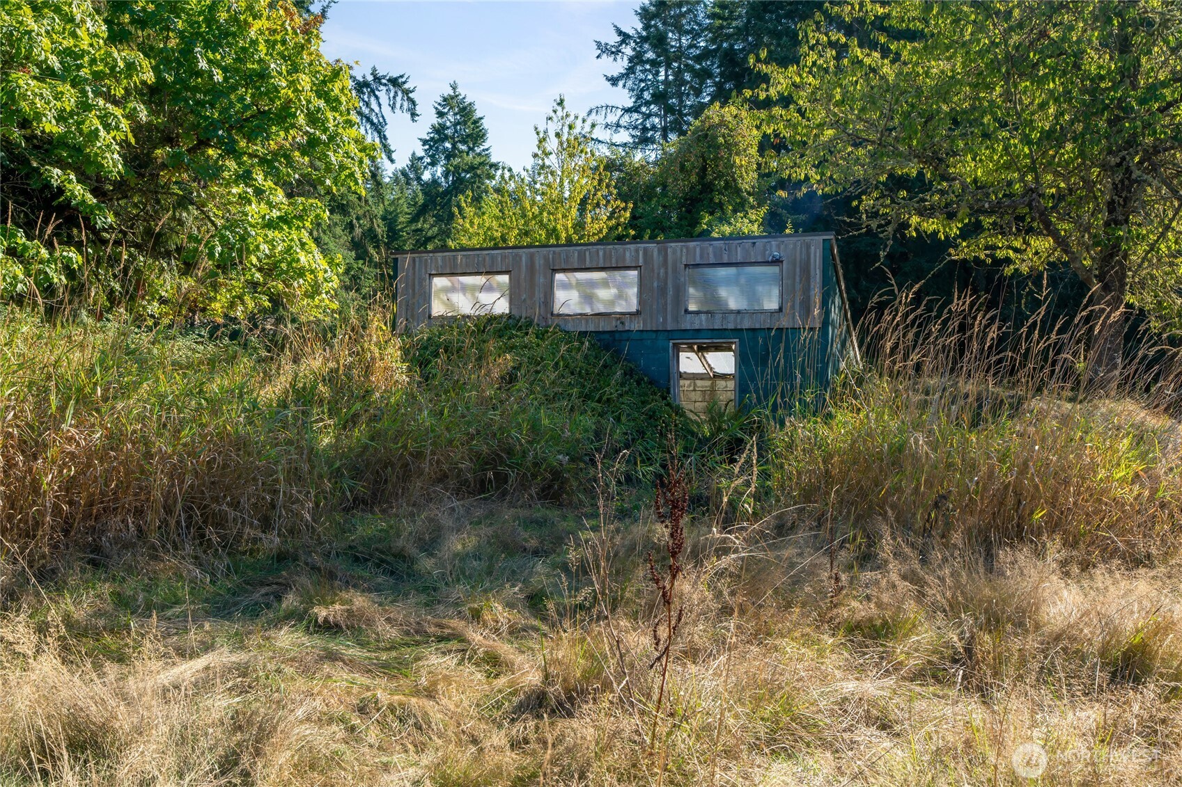 36716 Eatonville Cutoff Road Property Photo 13